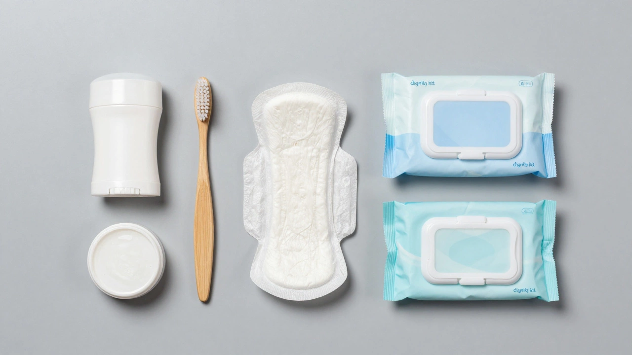 Flat lay of hygiene essentials including feminine care, toothbrush, and wet wipes