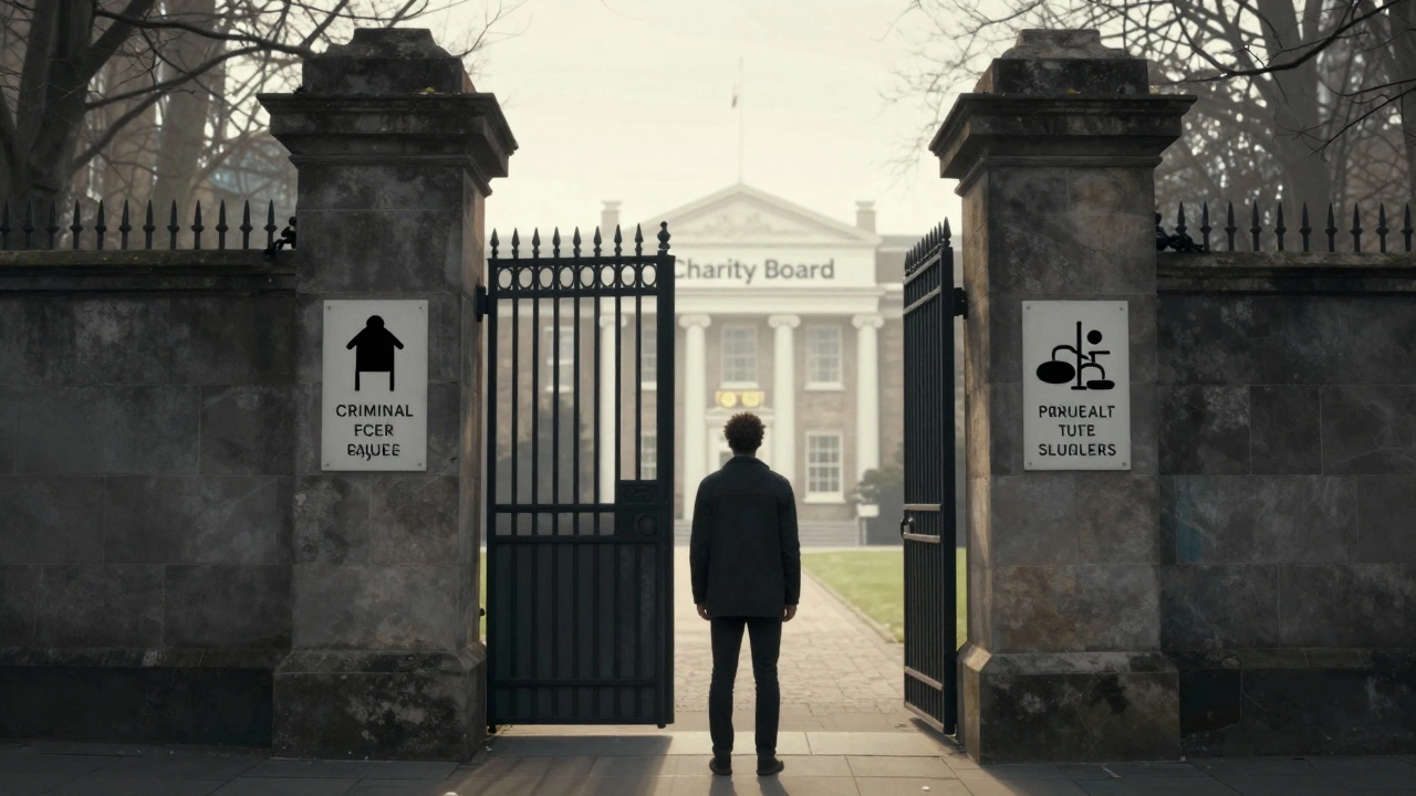 Person facing a symbolic gate of legal barriers blocking access to a charity board.